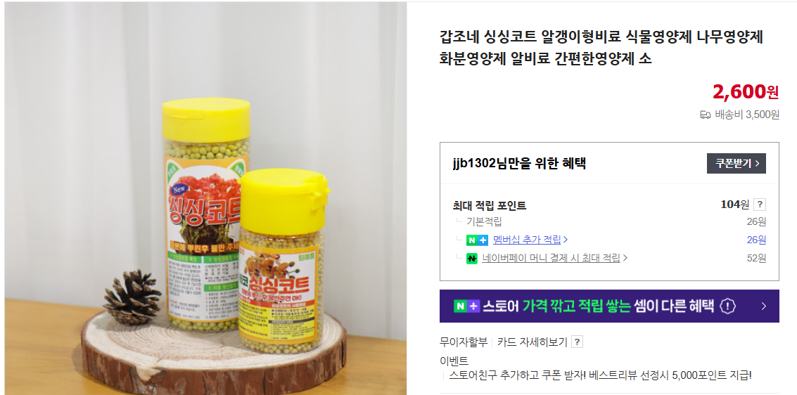 고무나무 가지치기 및 물 주는 법 (+ 키우기 번식 종류 잎이 누렇게)