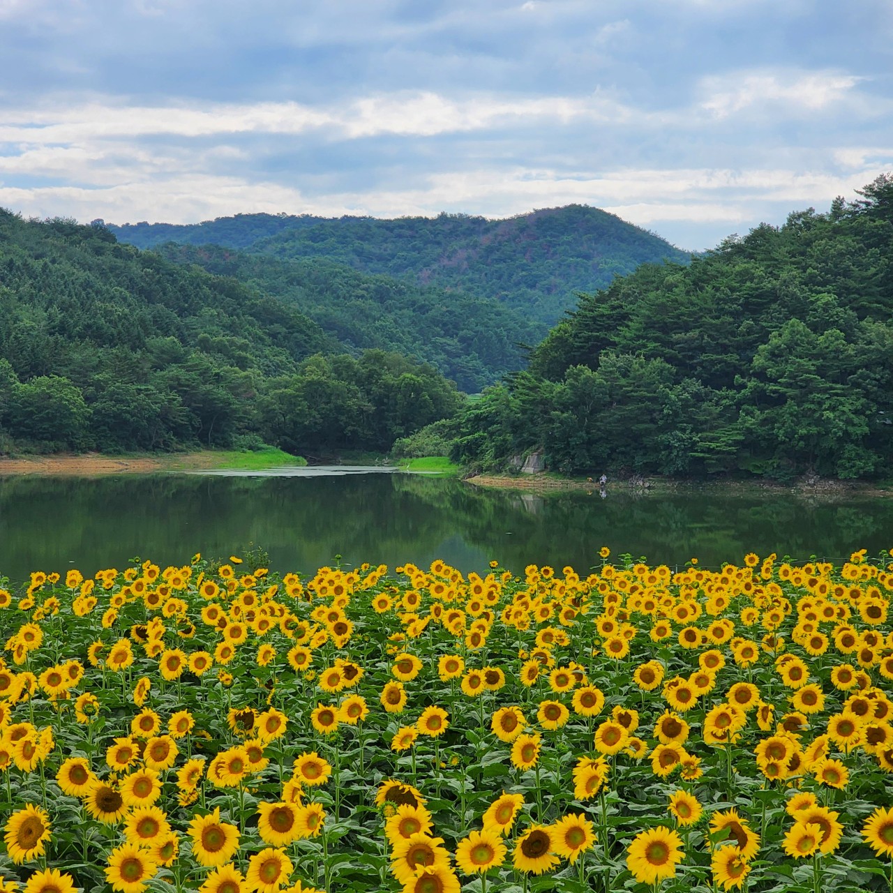 경주 바실라 카페