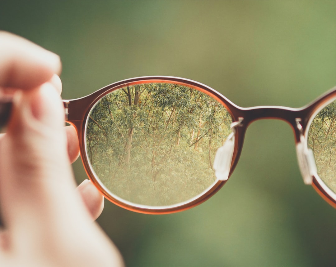 Vision