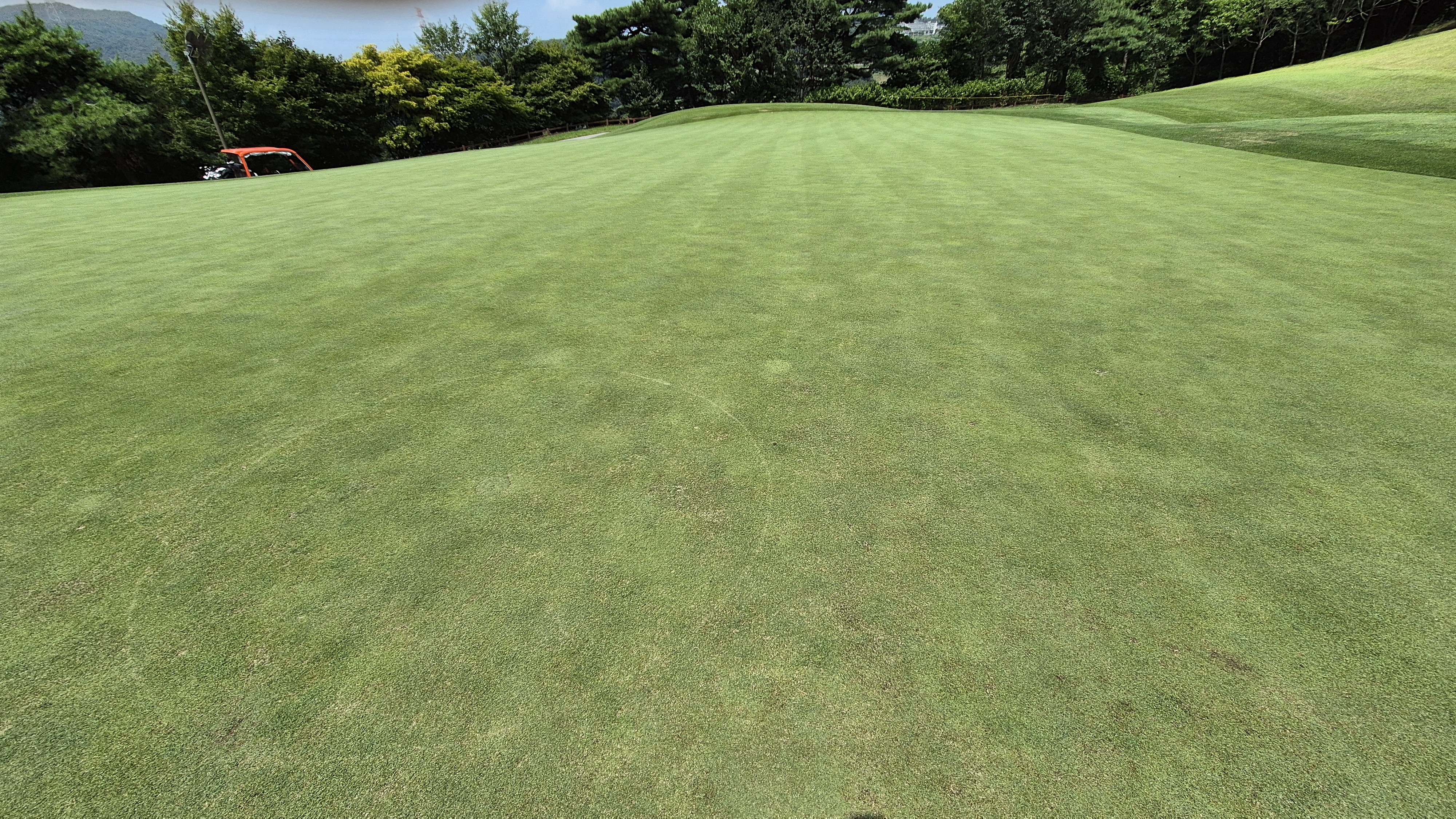 골프존카운티 안성H