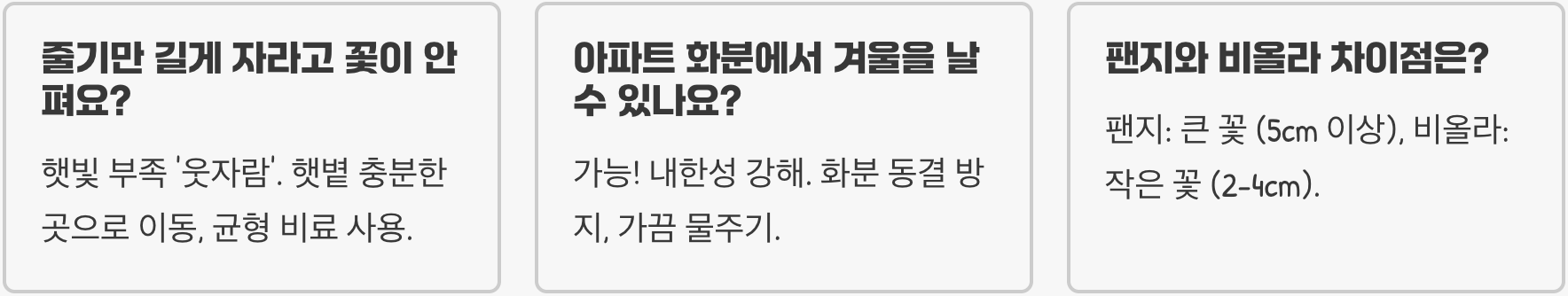봄 화단의 보석 팬지 키우기 A to Z (파종, 물주기, 관리법 총정리)
