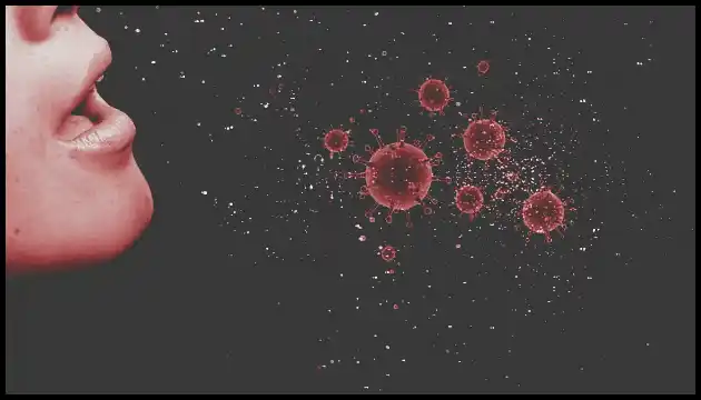 백일해 예방접종 가격 및 시기