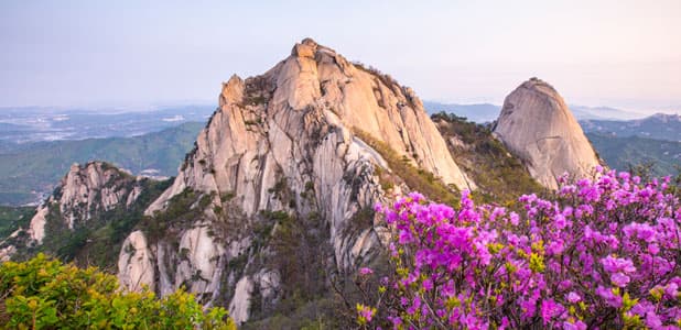 천연 에스트로겐을 함유한 식품과 여성 호르몬 균형 맞추기