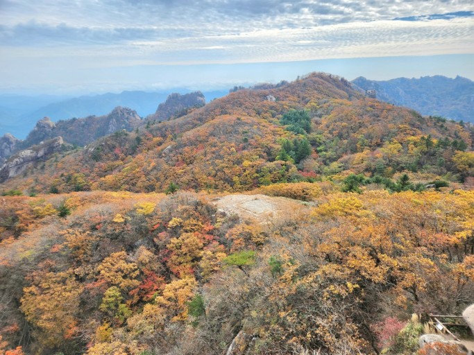 속리산 단풍시기
