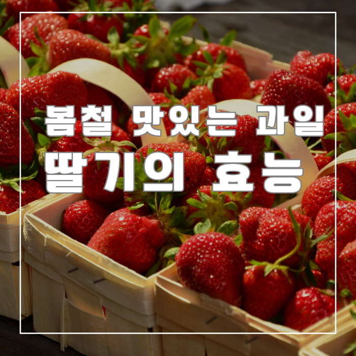 딸기의 효능