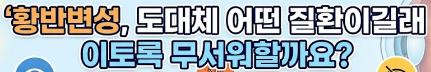 황반변성 치료법