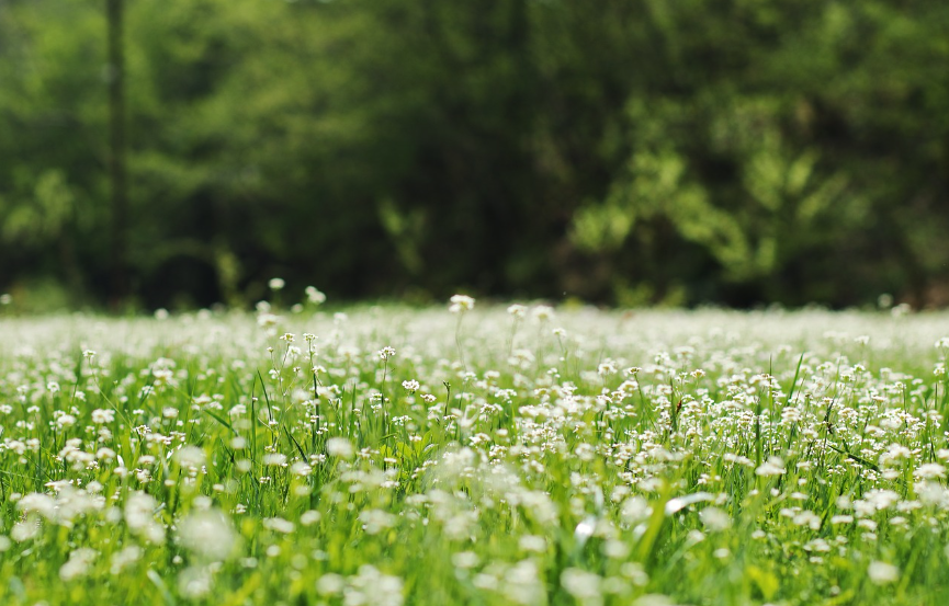 천식,알레르기 관련 이미지