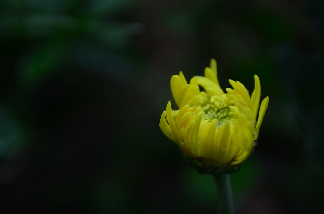 Subordinate