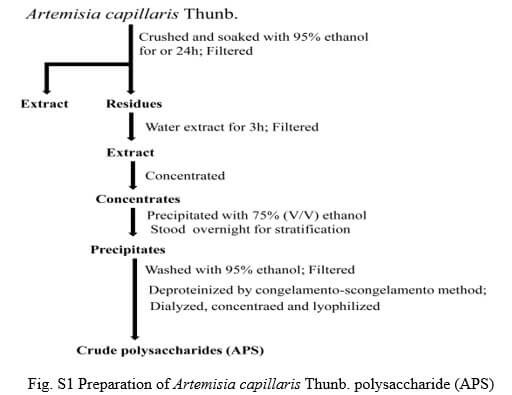 APS 제조 및 그래픽 초록