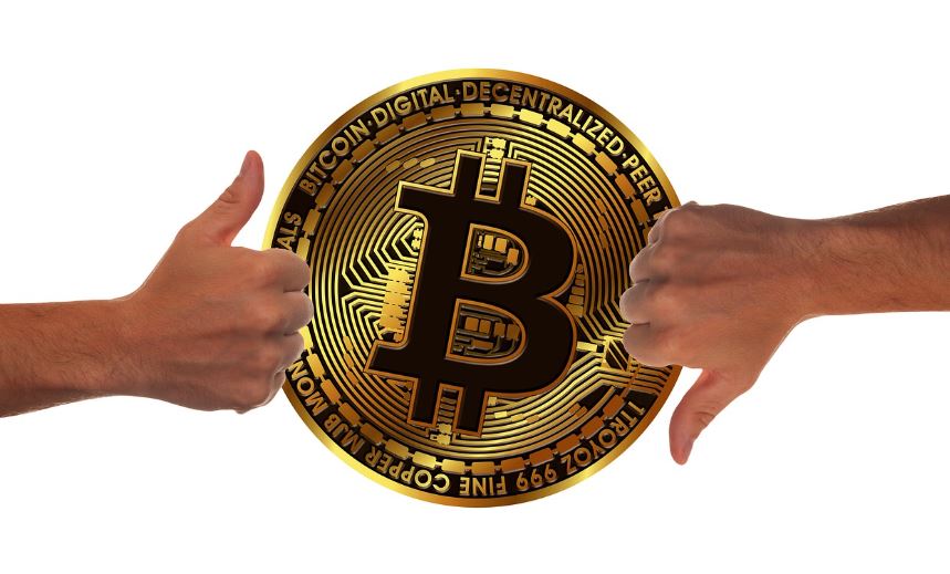 스테이블 코인의 전망