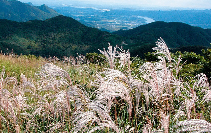 유명산 등산코스 지도