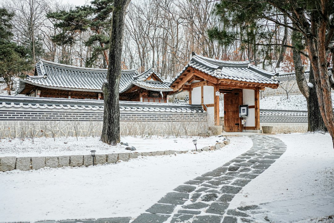 겨울 햇살이 드는 한옥 나무 대문