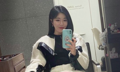 가수