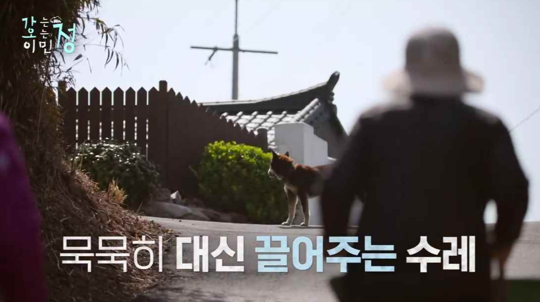 할머니가 밀던 손수레를 할아버니가 밀고가는 뒷모습 장면에 묵묵히 대신 끌어주는 수레 자막이 있는 스틸컷