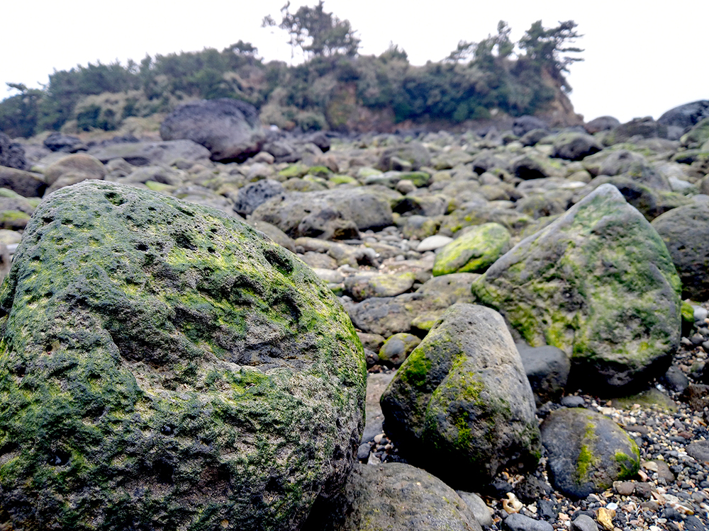 모세의 기적 써근섬 '서건도'
