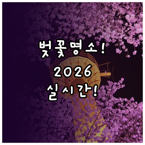 광교저수지 만석공원 벚꽃 일정 및 2..