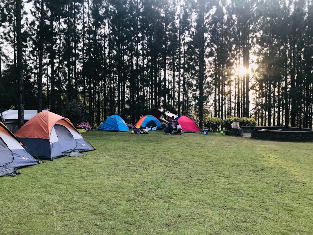 City Camping