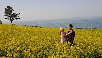 부안 수성당 유채꽃 히든스팟 개화시기_22