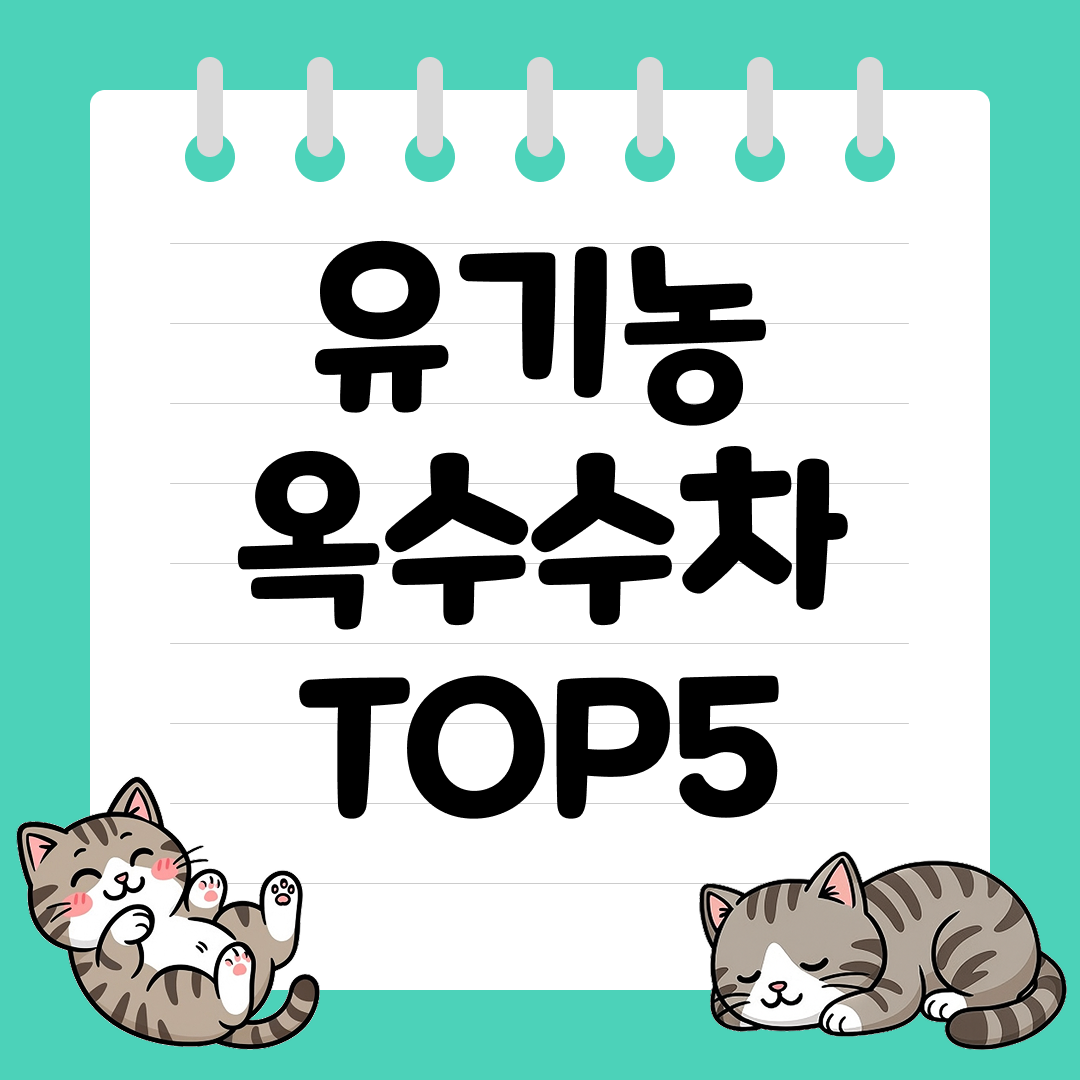 물처럼 마셔도 되는 고소한 유기농 옥수수차 추천 순위 TOP5