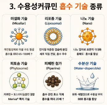 수용성커큐민-효능-부작용-복용시간-복용법-영양제