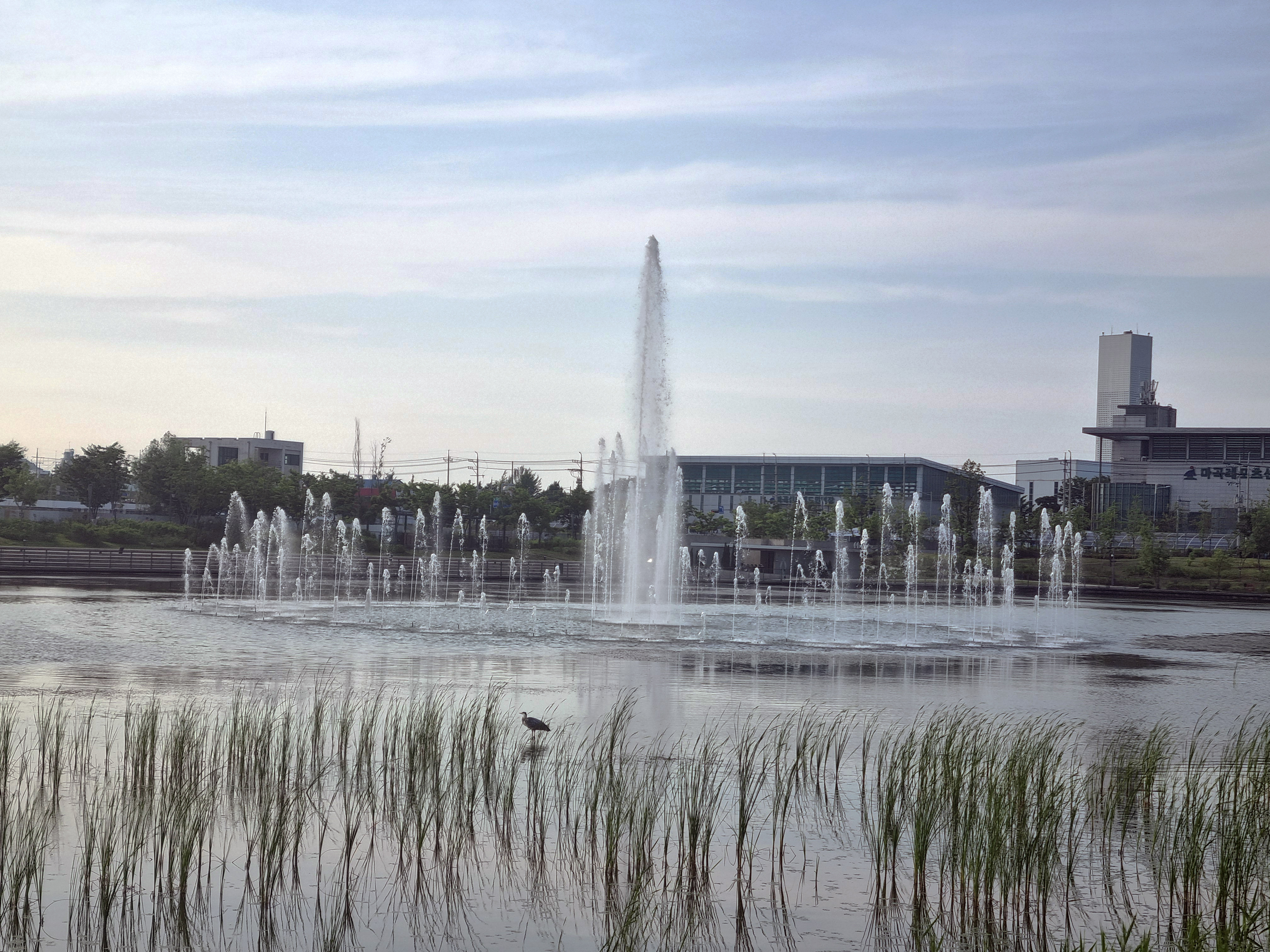 다리에서 본 서울식물원 분수