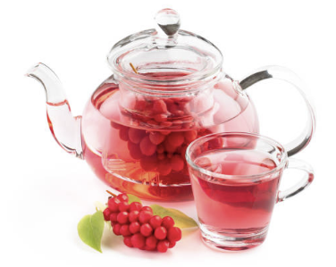 오미자 효능 부작용 먹는법 오미자차 만드는 방법 오미자청 총정리