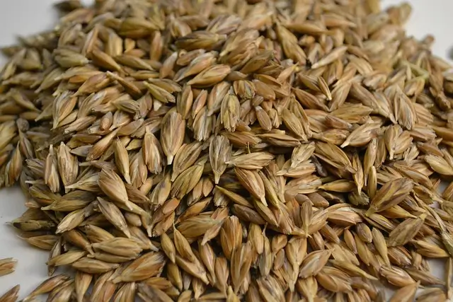 파로-엠머밀-이탈리아