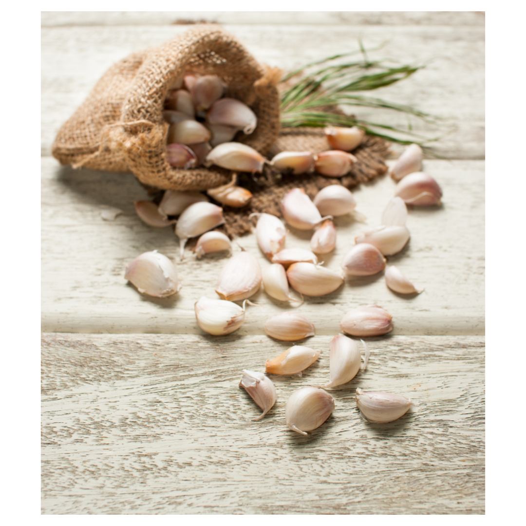 콜라겐과 관련된 사진입니다.