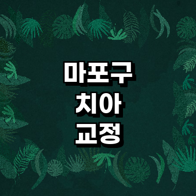 서울 마포구 교정 치과