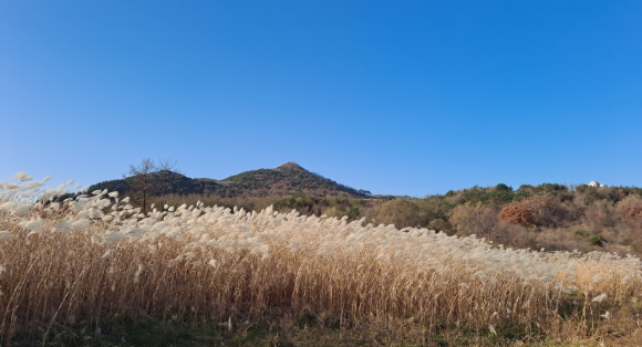 정상까지 차로 가는 산 TOP55