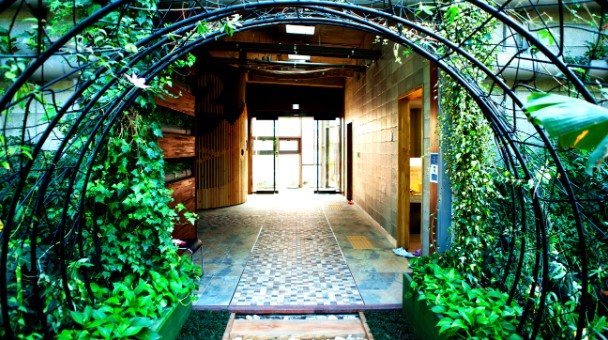 미리내 힐빙 클럽