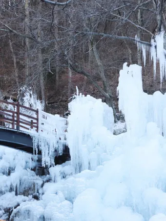 대구 겨울 가볼만한곳을 상세히 알아보기 여행 자료집_10