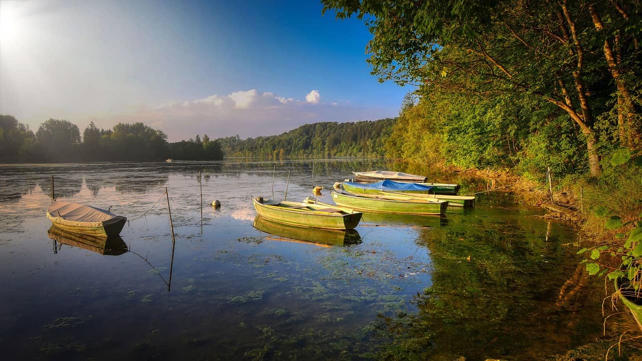 스마트시티와 미세조류를 활용한 수질 정화 프로젝트