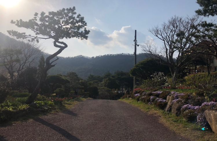 장흥 하늘빛수목원