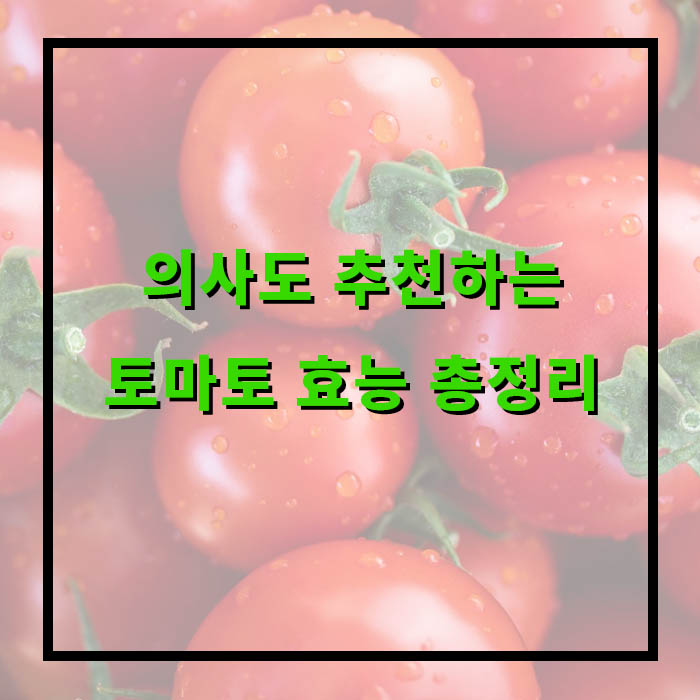 토마토 효능, 부작용, 레시피 추천