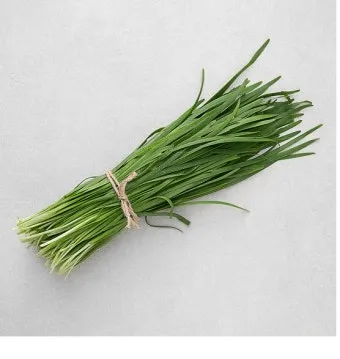 텃밭 부추 쪽파 재배 다년생 관리 수확주기 웃거름 월동_24