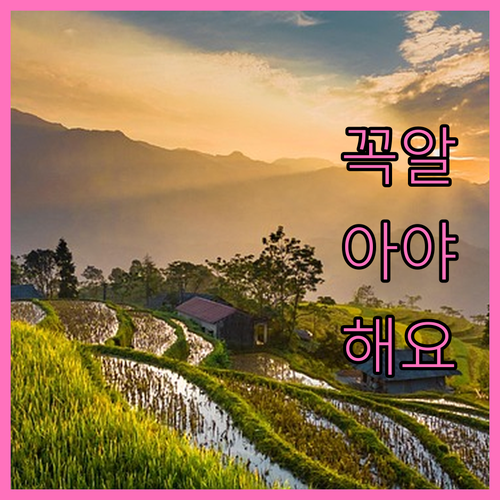 부산 강서구 폐가전 무상수거 대형폐기..