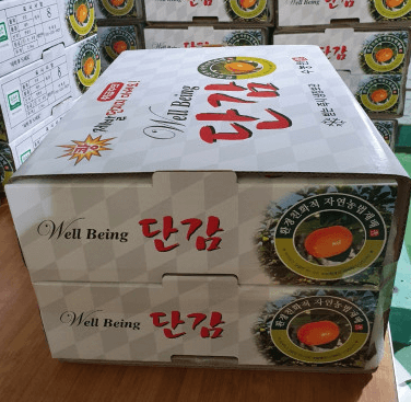 [6시 내고향] 영광 태추단감 택배 주문 전국배송 수농원 판매