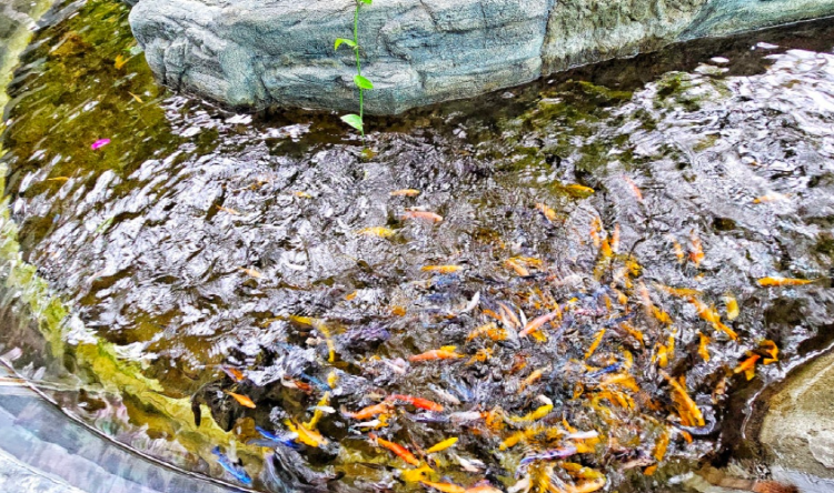 이천시 환경학습관