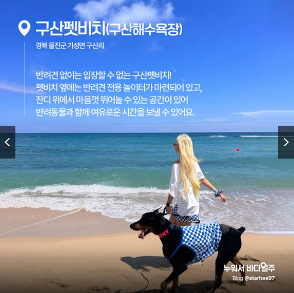 구산펫비치｜경북 울진군 구산해수욕장