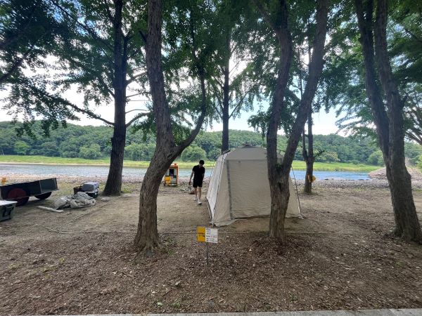 송호캠핑장 E구역 4번