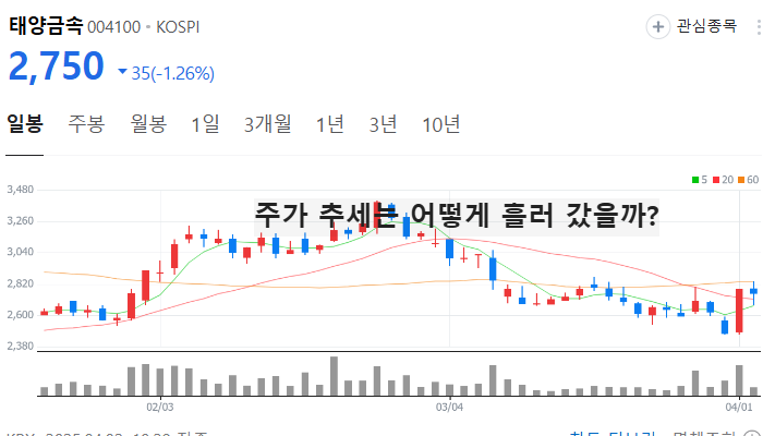 홍준표 관련주 대장주 테마주 수혜주 TOP5