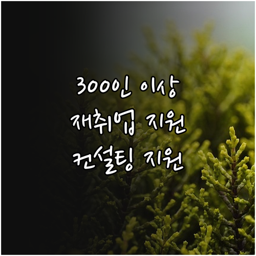 300인 이상 기업을 위한 2025 ..