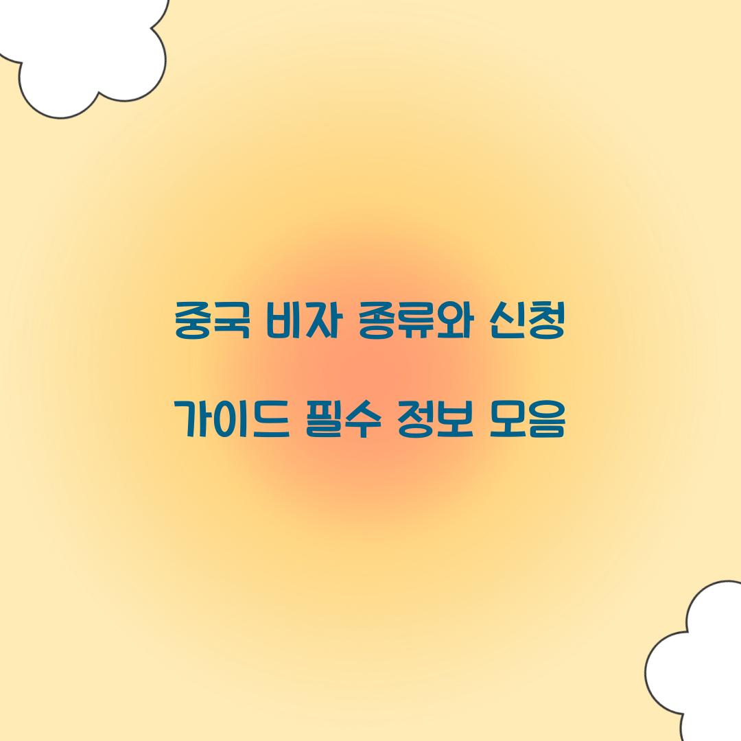 중국 비자 종류