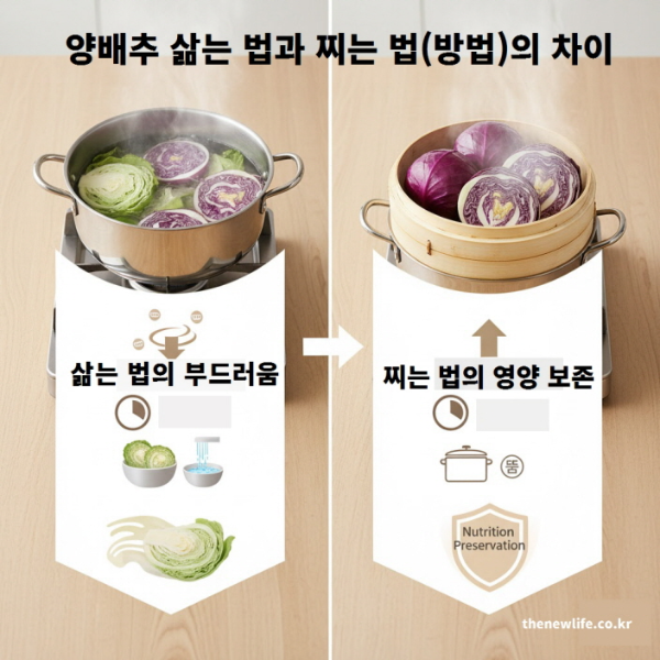 양배추 삶는 법과 찌는 방법(법)의 차이 – 삶으면 부드럽고, 찌면 영양이 보존되는 비교