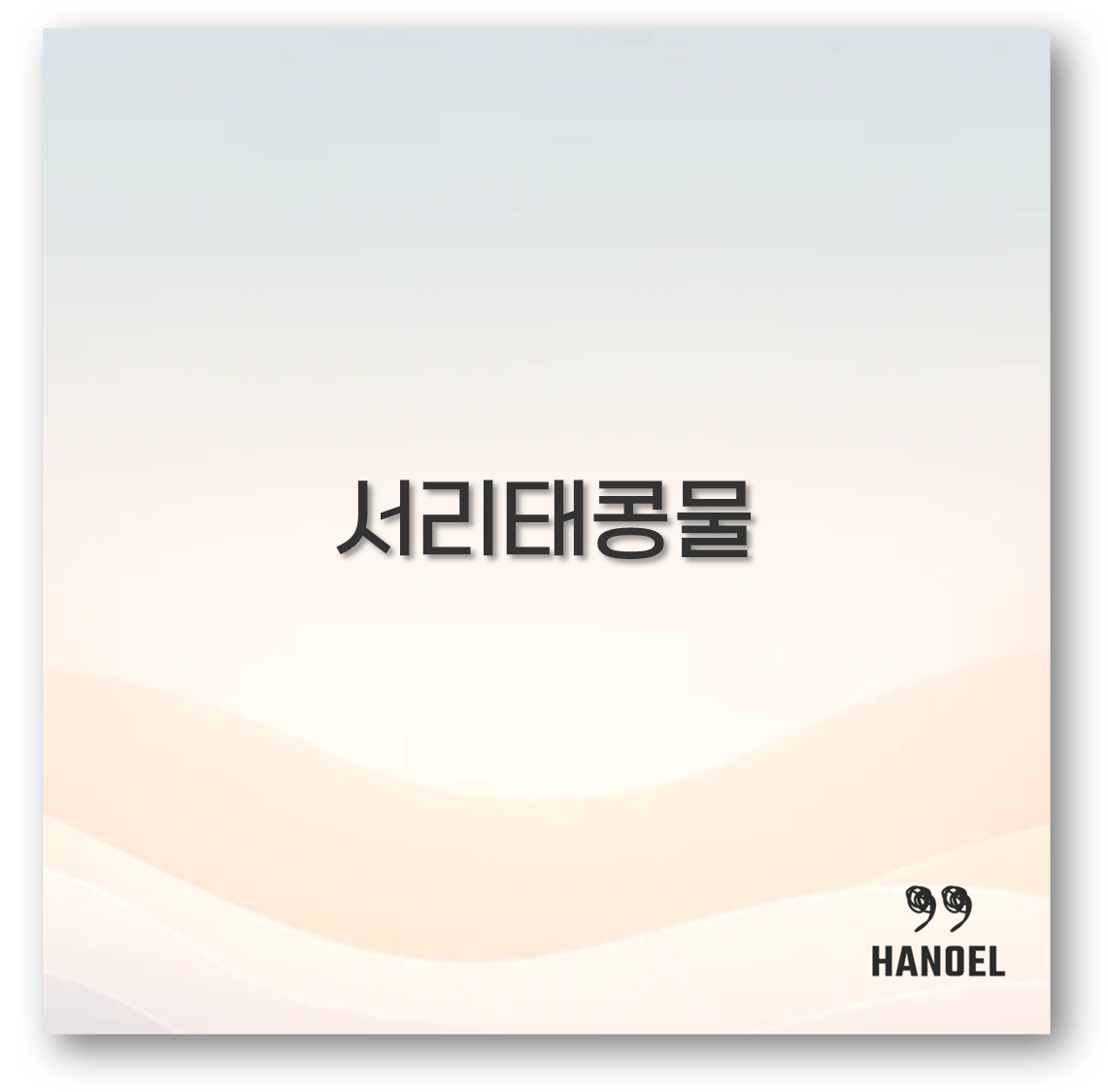 서리태콩물