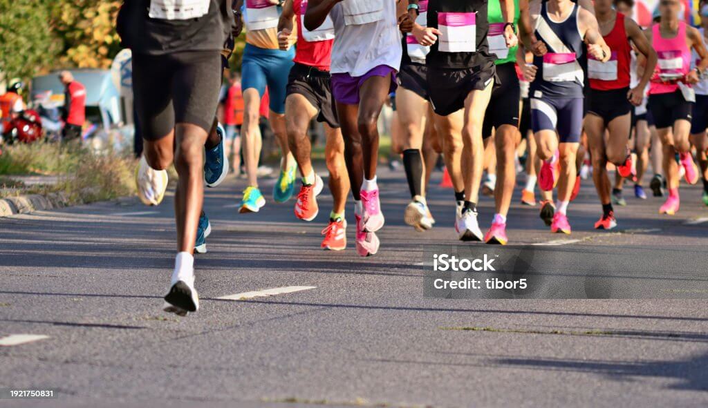 2025 경주벚꽃마라톤