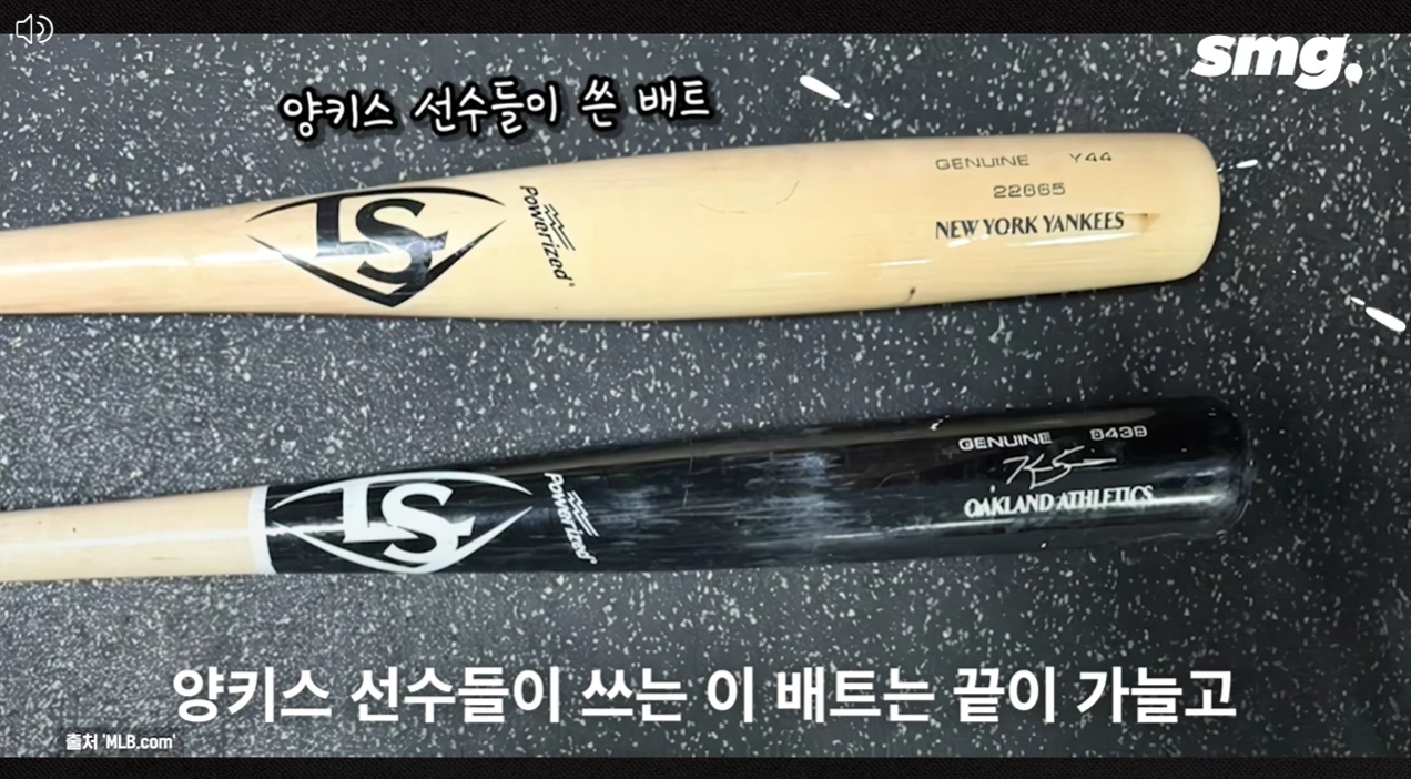 어뢰배트란? 새로운 기술의 등장