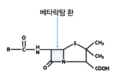 베타락탐 화학구조