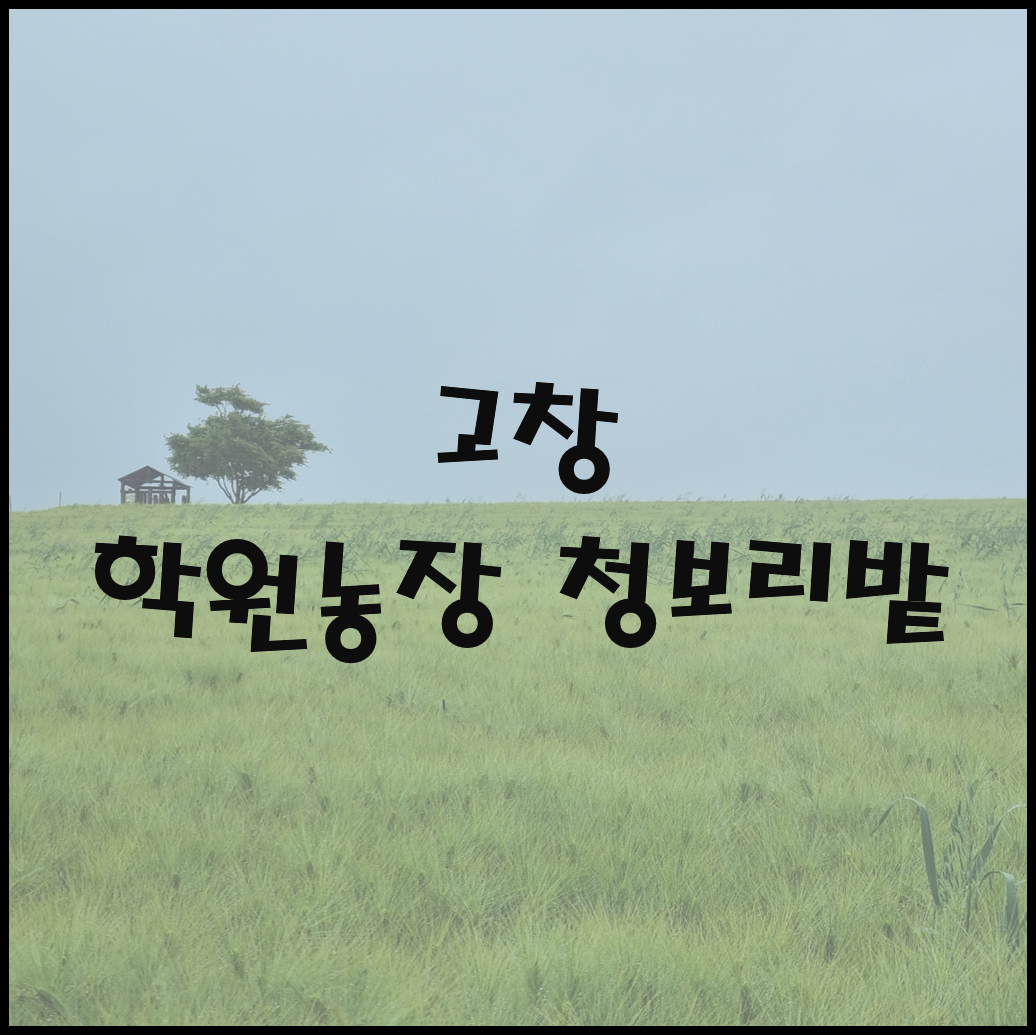 고창 청보리밭축제